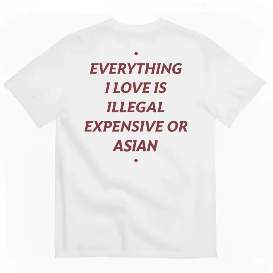 Everything I Love Is Illegal Expensive Or Asian Letter T-shirt for Men and Women