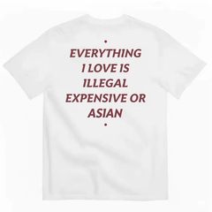 Everything I Love Is Illegal Expensive Or Asian Letter T-shirt for Men and Women