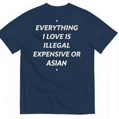 Everything I Love Is Illegal Expensive Or Asian Letter T-shirt for Men and Women