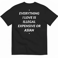 Everything I Love Is Illegal Expensive Or Asian Letter T-shirt for Men and Women