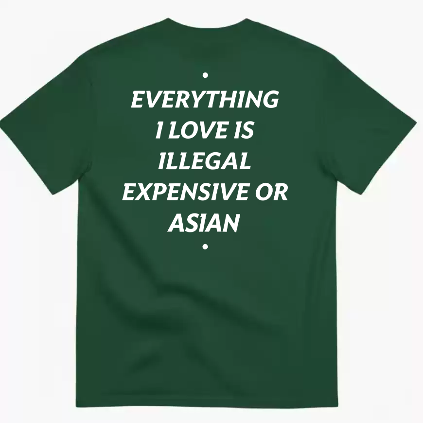 Everything I Love Is Illegal Expensive Or Asian Letter T-shirt for Men and Women