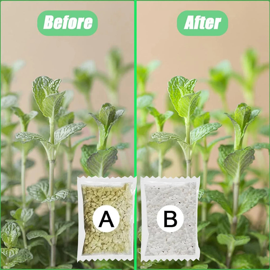 Hydroponic Nutrients Fertilizer AB Solution Set Hydroponic Garden Plant Food Plant Fertilizer For Flowers Vegetables Nutrients