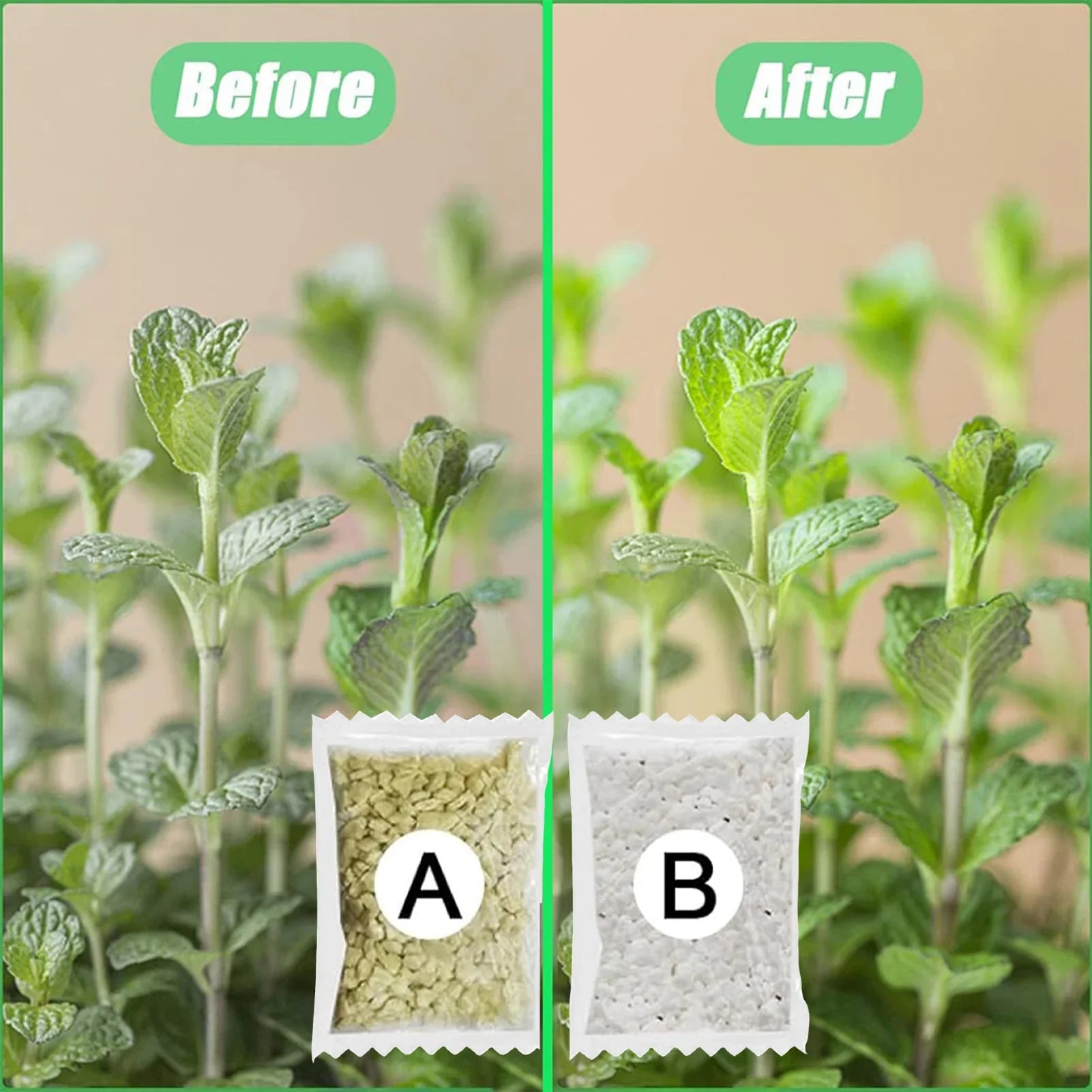 Hydroponic Nutrients Fertilizer AB Solution Set Hydroponic Garden Plant Food Plant Fertilizer For Flowers Vegetables Nutrients