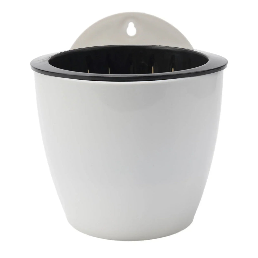 Wall-Mounted Plastic Potted Plant Flowerpot Creative Automatic Water-Absorbing Wall Hanging Home Flower Pot Wall Decoration